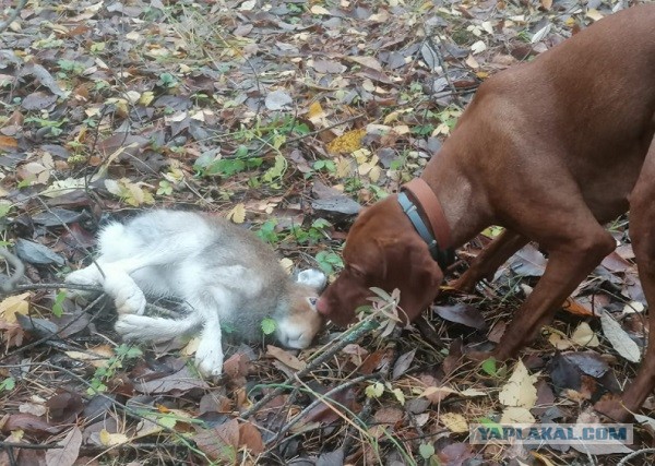 Мне 50 — ему 28. Любовь ровесников не ищет