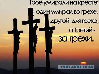 Победная поступь идиотизма по планете – том 3