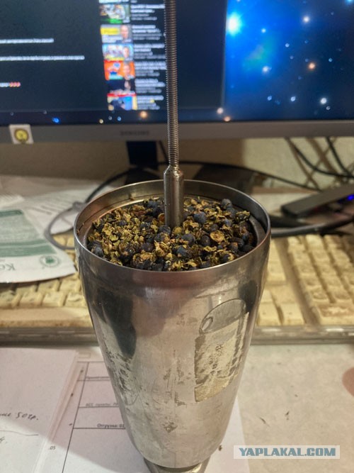 Кому что, а мне - можжевельник