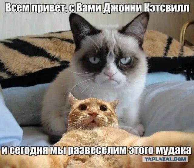 Немного картинок и прочей хреноты Vol. 24
