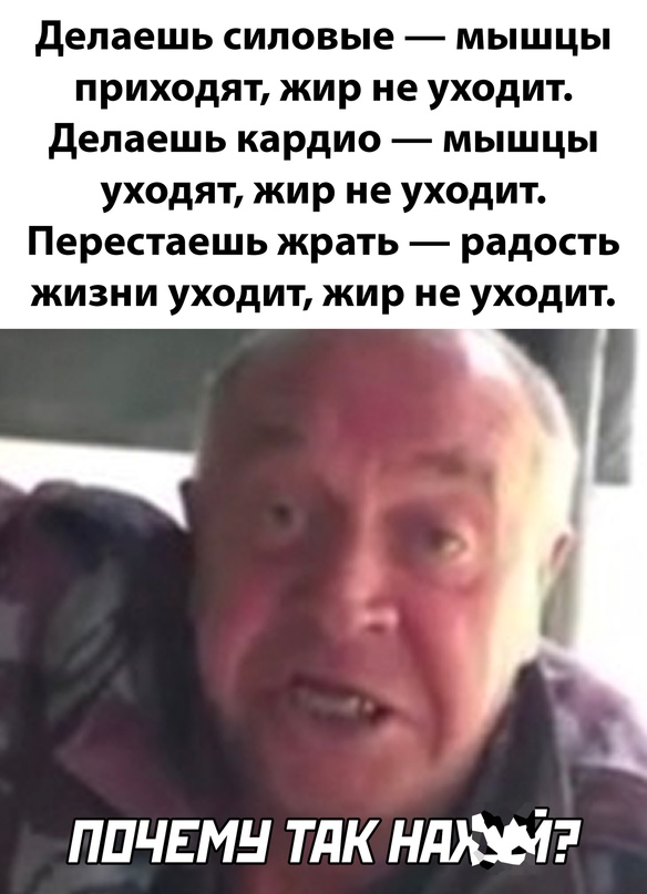 Весёлый полтишок 21.08.23