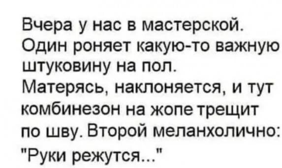 Весёлый полтишок 08.09.23