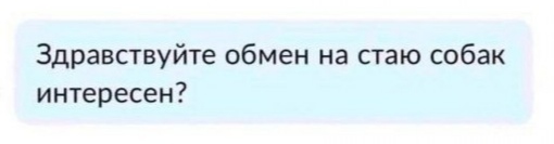 Проклятие авито