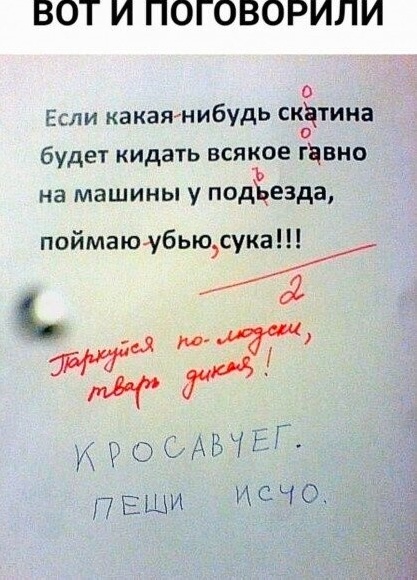 Весёлый полтишок 12.11.23