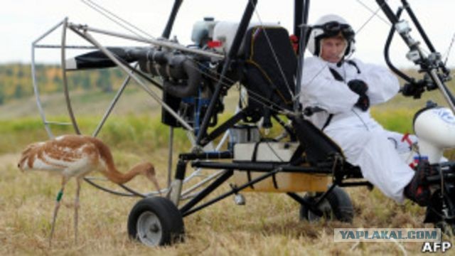 Яйца и курятину приходится импортировать