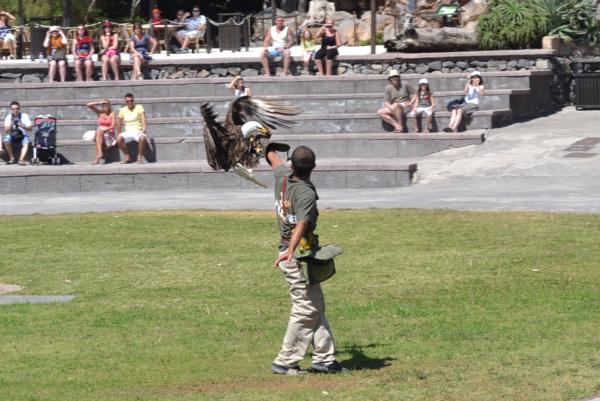 Хочу дачу на канарах!