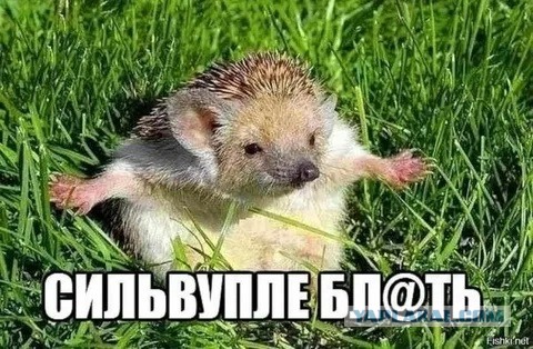 Российская армия полностью освободила Марьинку