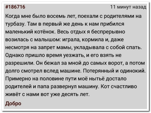 Забавные комментарии из социальных сетей 08.01.24