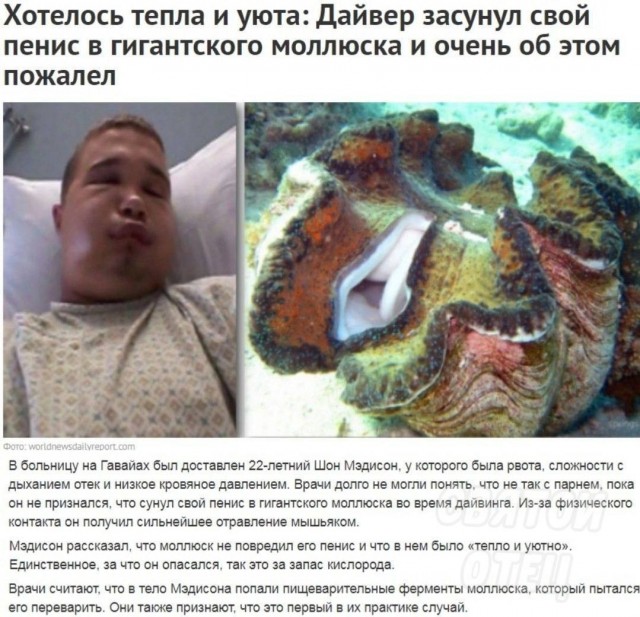 Сотрудники ГИБДД привлекли к ответственности водителя, приехавшего ставить на учет автомобиль в нетрезвом виде