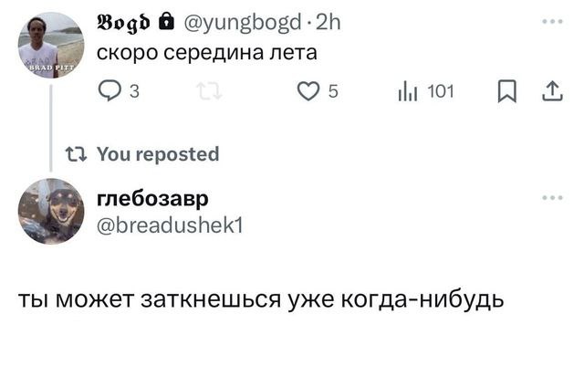Сборник бабаянов или неожиданная помойка от Неждалигады