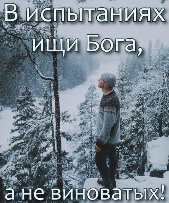 Прикольные и просто красивые картинки