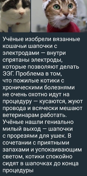 Так себе картинки 01.10.24