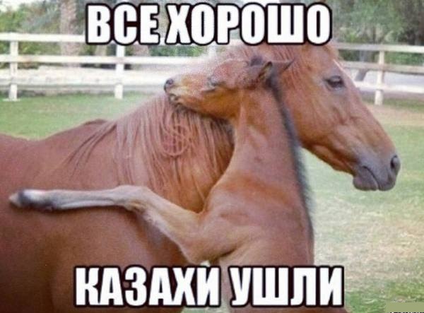 Немножко для пятницы. Солянка