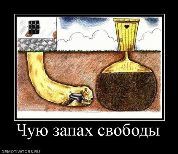 Да что вы понимаете в квантовой физике