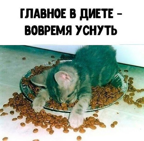 Так себе картинки 01.11.24