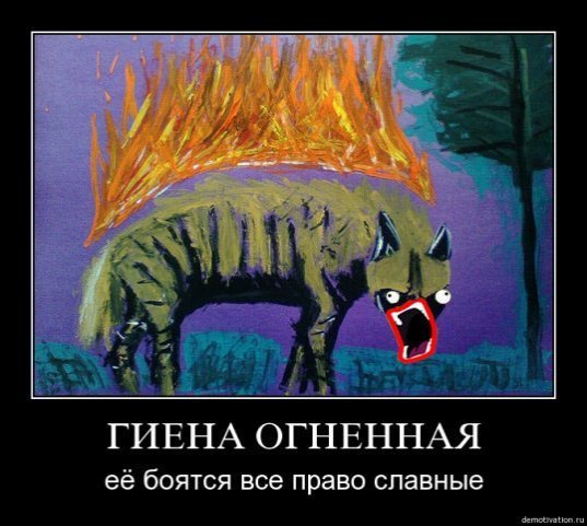 Сегодня - зимнее солнцестояние