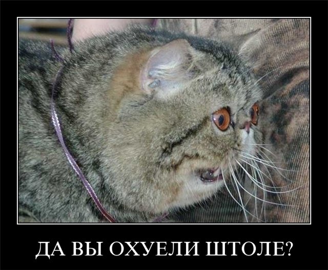 "The [Зе] Фиаско". Полная запись скандального разговора Зеленского и Трампа с русскими субтитрами