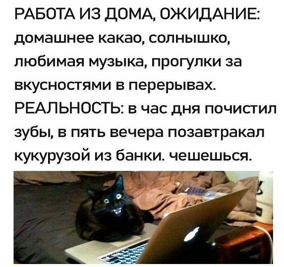 Моя любимая теория заговора