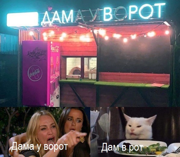 Знаменитый кот