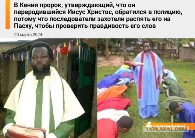 Картинки для деградации 12 (разной степени свежести)