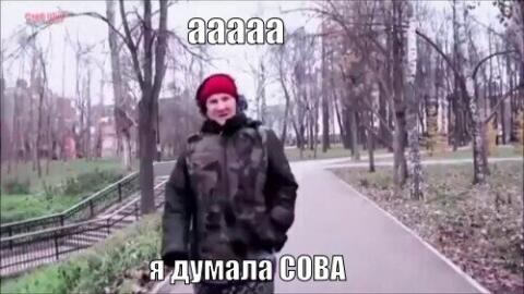 У вас там котосов завелся