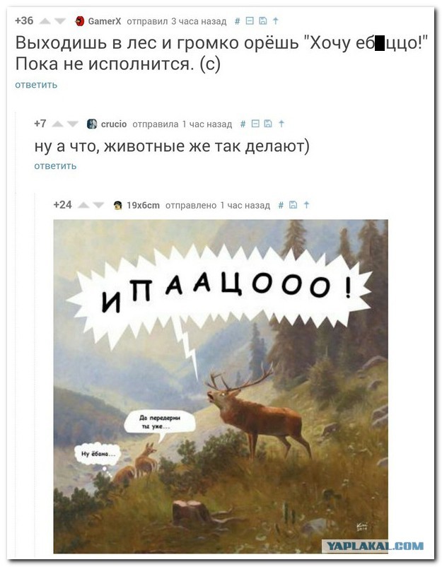 Воронежцы могут попасть в ДТП с оленем