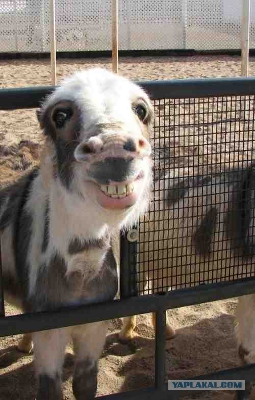 Сограждане, будьте осторожны