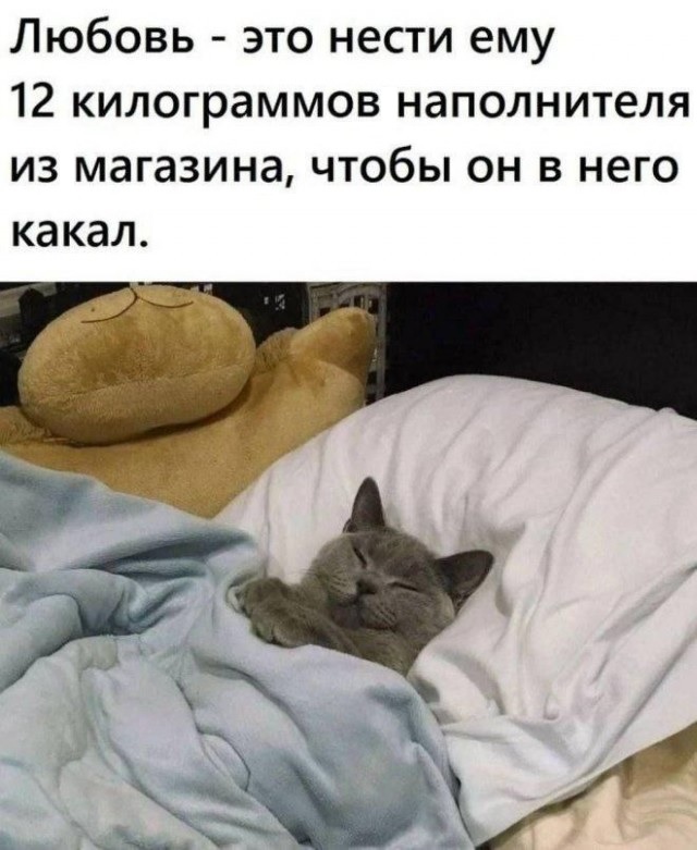 К котовторнику: подборка картинок-баянов с котиками и про котиков. Выпуск 25.
