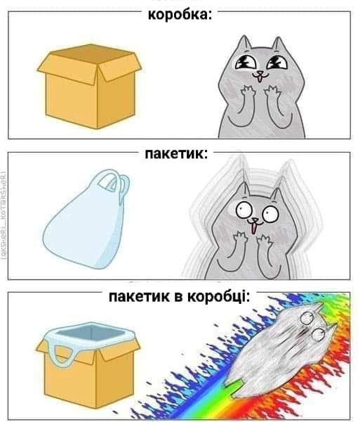 Шерстяные пидо.... братья наши меньшие