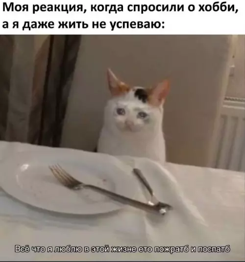 Картиночки, баянчики 17 февраля