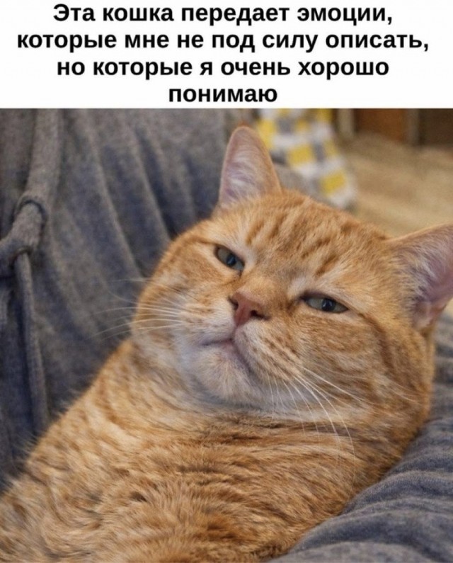Мне сегодня писят ле-е-е-е-ет!