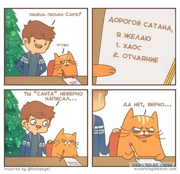 Аккордеоны