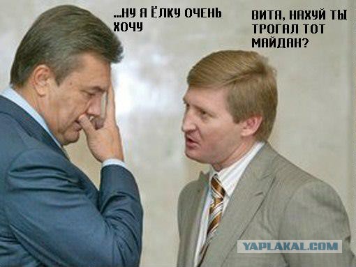 ЙОлка.