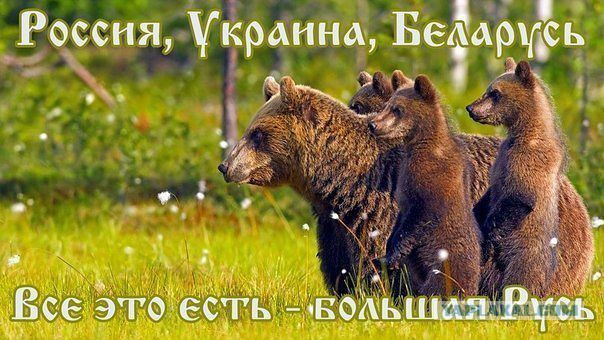 ФАНТАСТИКА! Золотой Хет-трик!