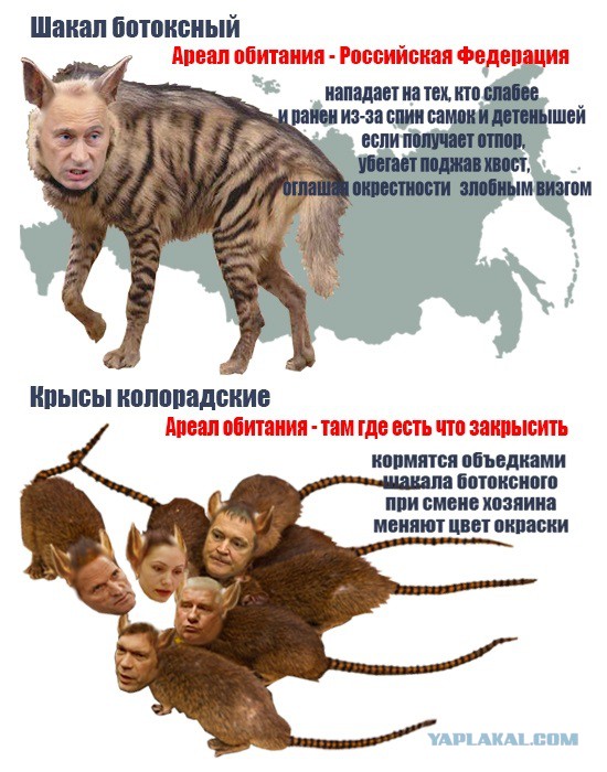 Украинские приколы.