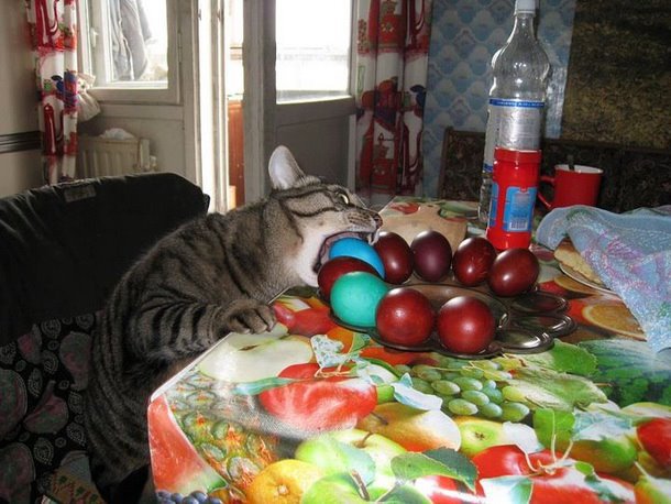 Немного позитива на пятницу