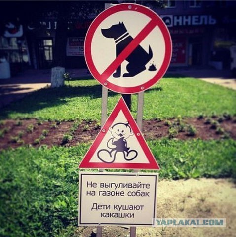 Пятница, картинки для поднятия настроения