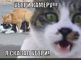 Не палимся