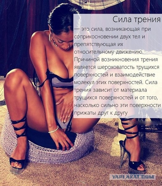 Весёлые картинки