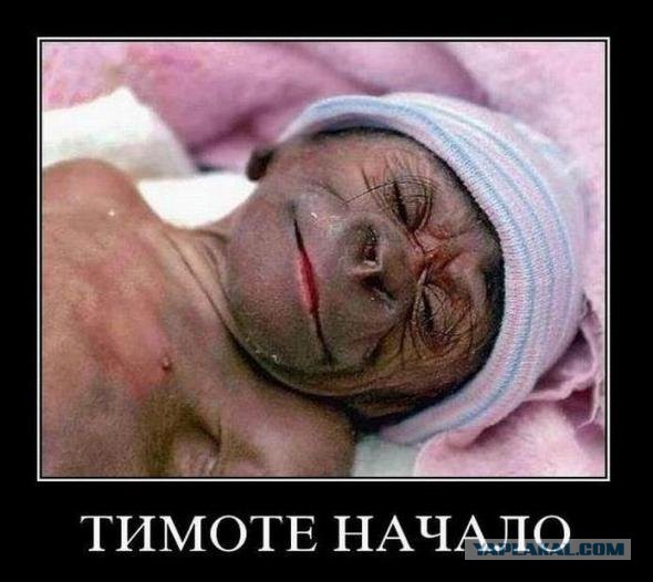 Картинки