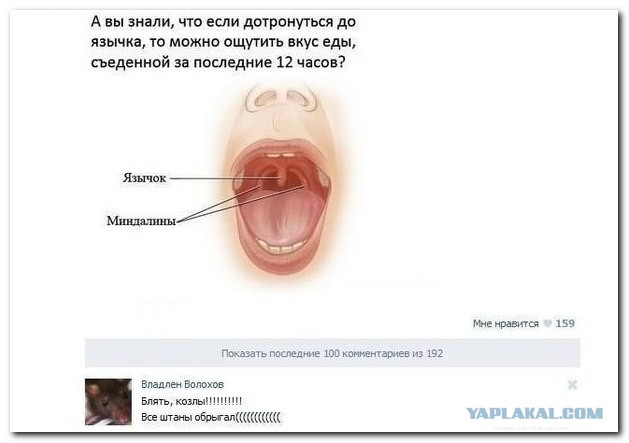 Смешные комментарии из социальных сетей