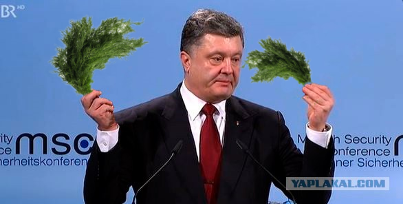 Что еще предложит Петя?