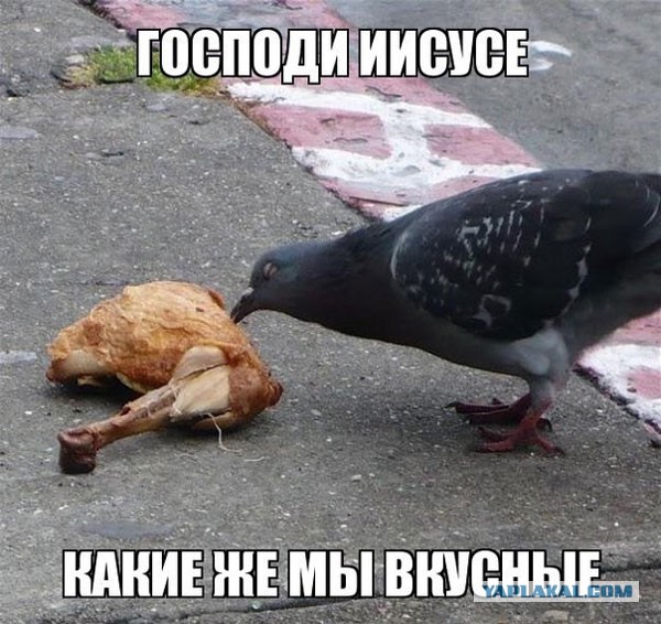Пятничная подборка