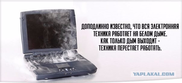Мешанина прикольных картинок из сети