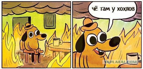 Вкратце новости последней недели