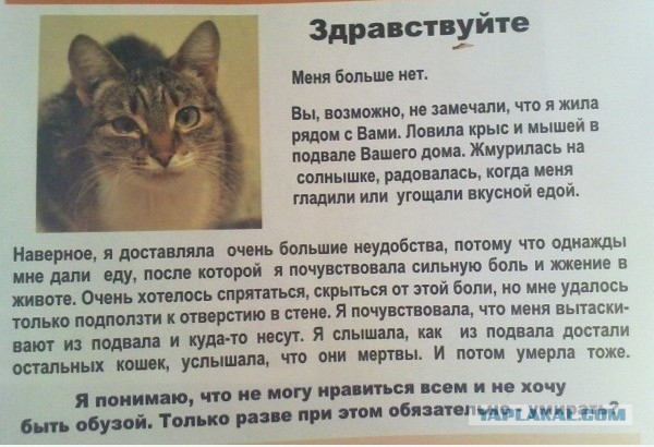 Социальный проект "Мы чувствуем..."