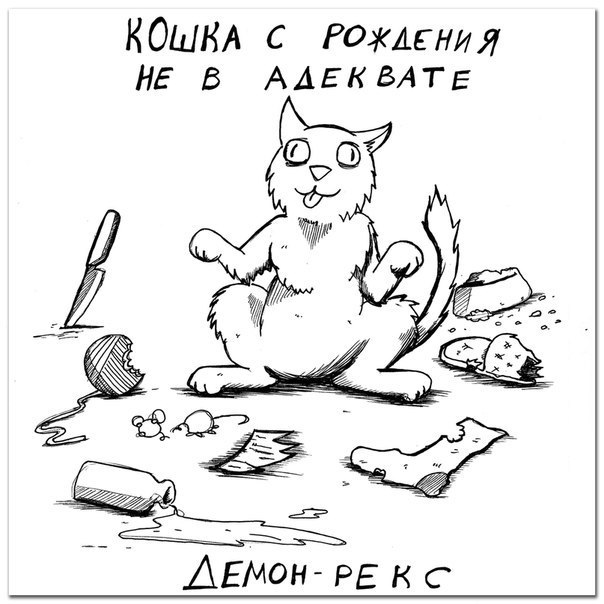 Породы котяр