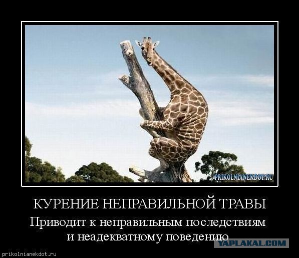 Турция закрывает для России Босфор и Дарданеллы