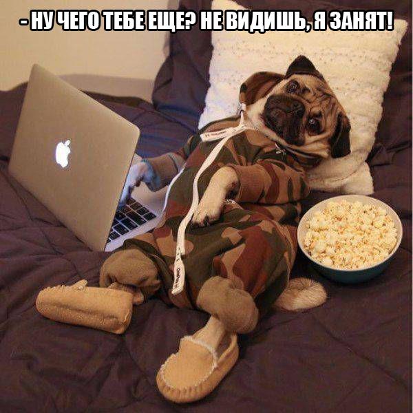Картинки на пятницу