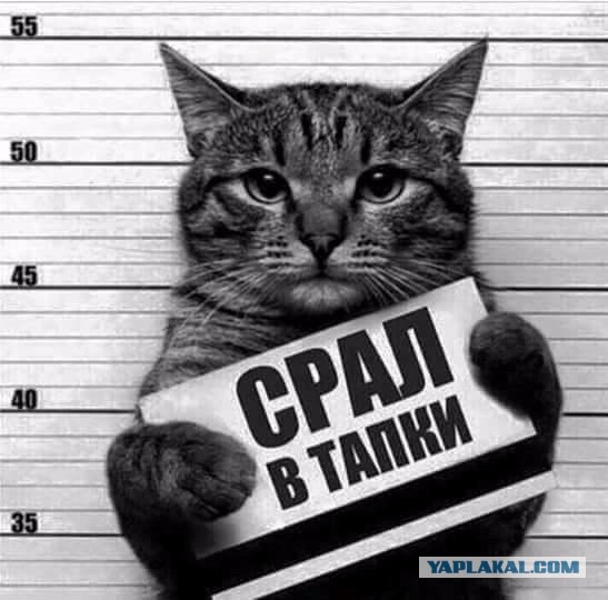 Пойман с поличным...
